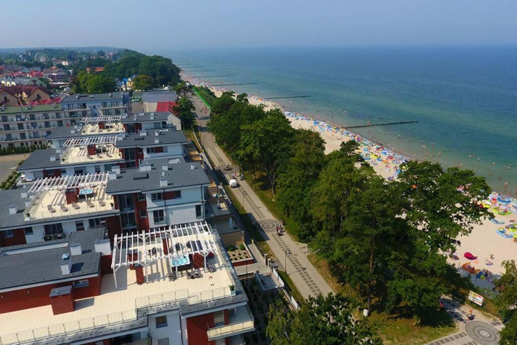 Apartment Bd Premium Iii Klifowa *